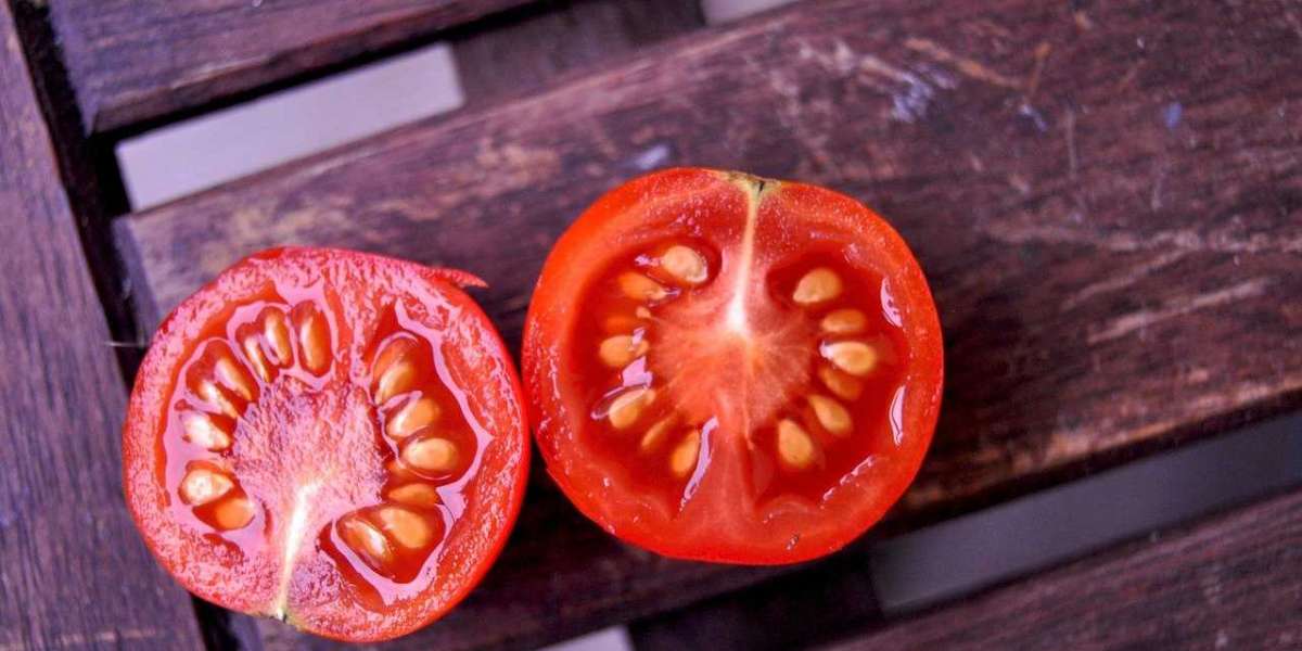 Tomato Seeds Market 2022 Regional Outlook, Scope of Current and Future Industry 2028