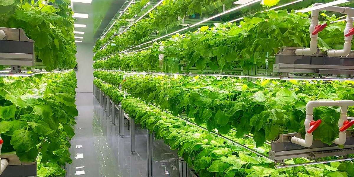 Indoor Farming Technology Market To Witness Increase in Revenue Over The Forecast Period, 2028