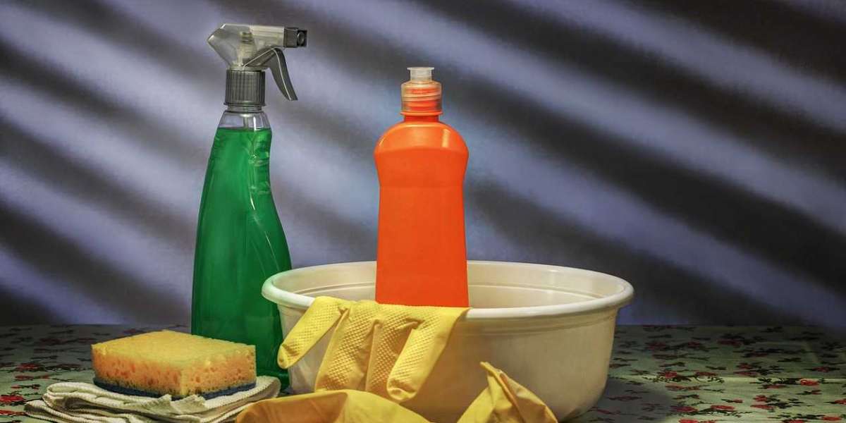 Stain Remover Market Revenue Growth Report Analysis At Regional & Country Level Upto 2028