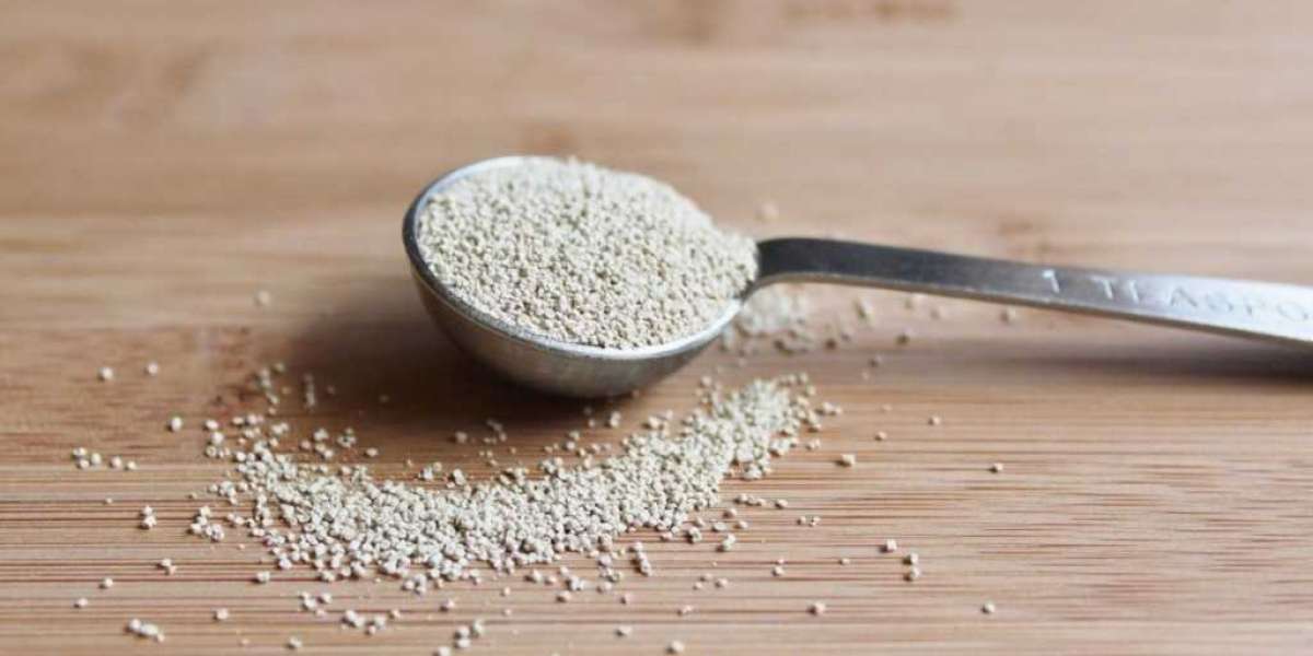 Feed Yeast Market is Expected To Gain Massive Growth By 2028