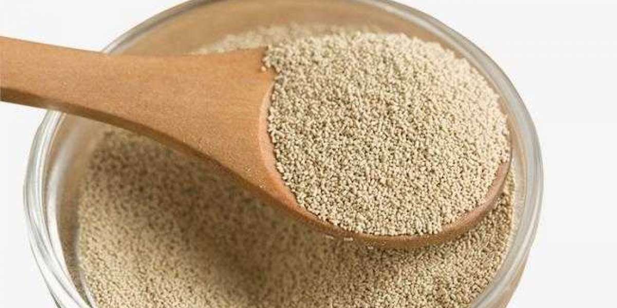 Specialty Yeast Market Analysis, Revenue Share, Company Profiles, Launches, & Forecast Till 2026