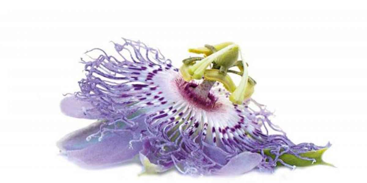 Passion Flower Extracts Market Trends Opens New Opportunities By 2022-2027
