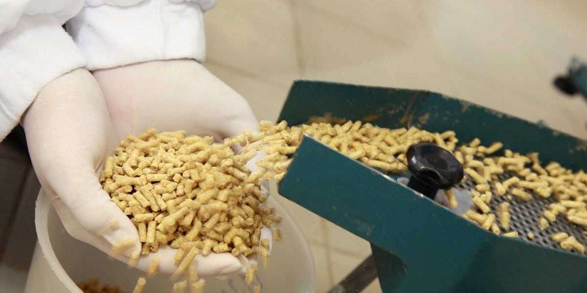 Pet Food Processing Market Growth Analysis and Forecast to 2028 