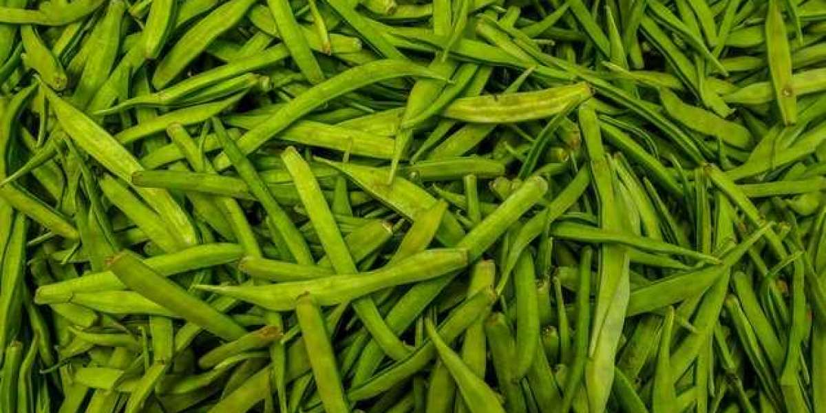 Guar Gum Market Is Expected To Grow Due To Increasing Demand In The Forecast Period 2022-2028