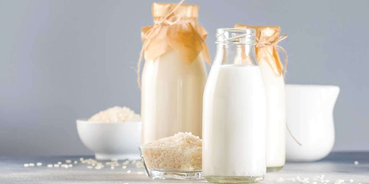 Milk Protein Isolate Market Competitive Landscape, Growth Factors, Revenue Analysis, 2022–2027