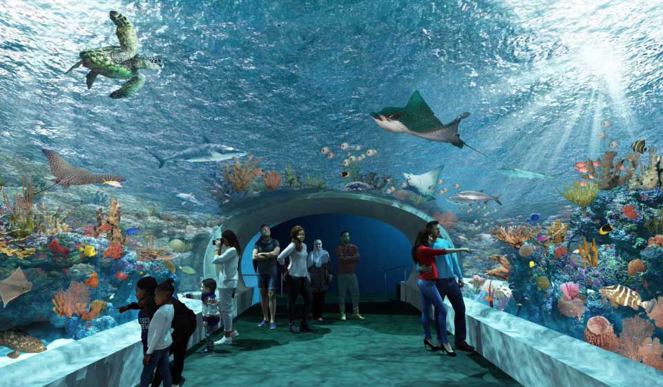 Top 10 Best Aquariums in the US - MooreBlogLife