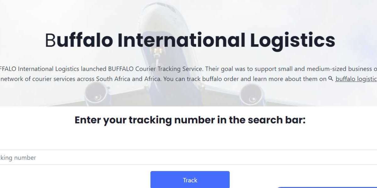How Buffalo Tracking Enhances Logistics Efficiency in China-Africa Trade
