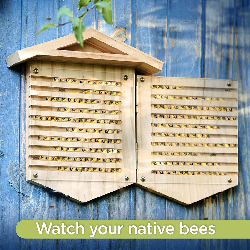 Carpenter Bee House: cute home for carpenter bees