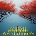 shayri sad