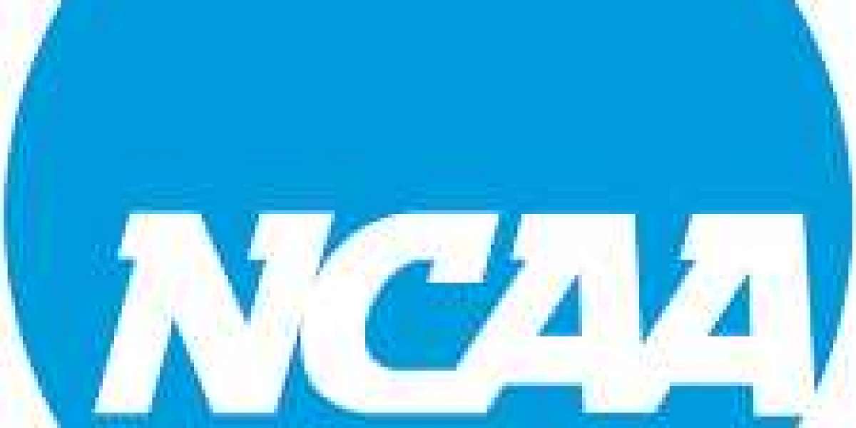 MM 5. 20: 2 Maryland softball gamers get paid NFCA All-Area honors