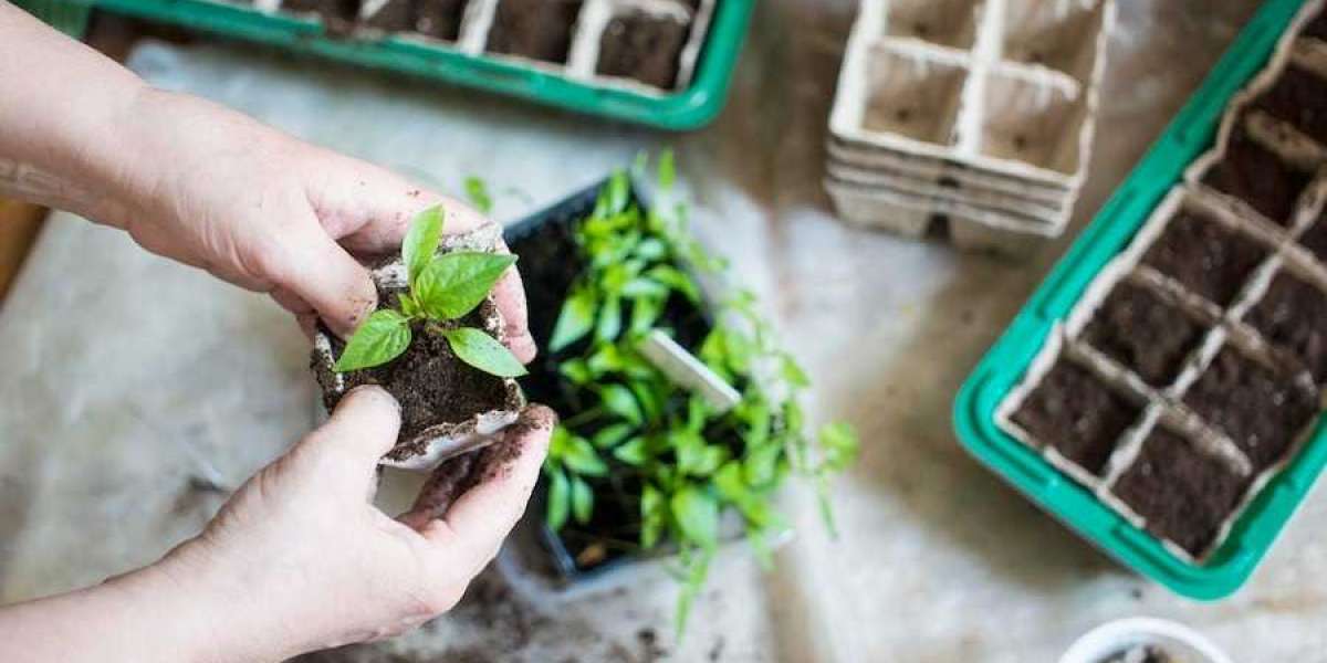 Planting Trays