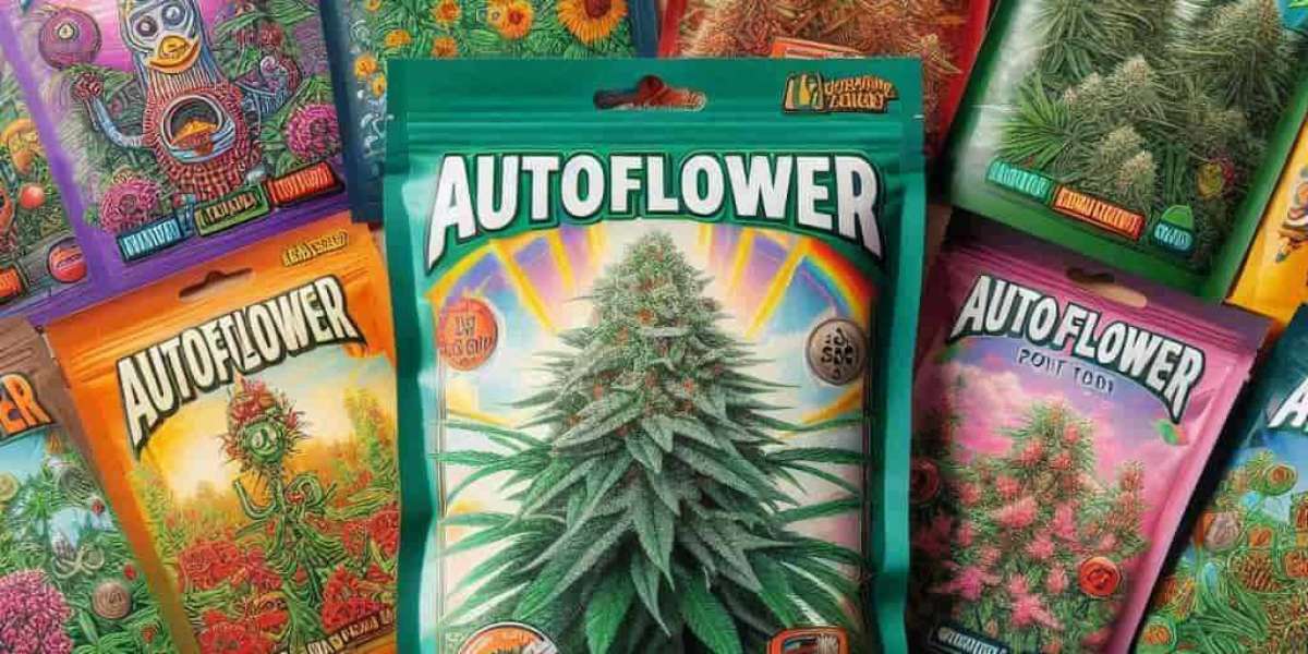 The Benefits of Autoflowering Cannabis Seeds for Growers