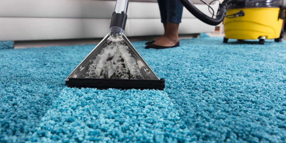 The Importance of Professional Carpet Cleaning for Home Health and Comfort