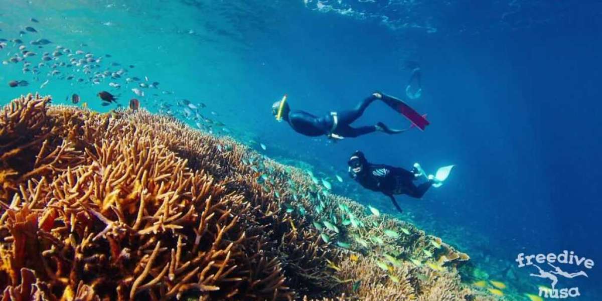 Freediving in Komodo