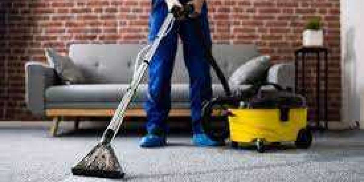 The Role of Professional Carpet Cleaning in Keeping Homes Beautiful