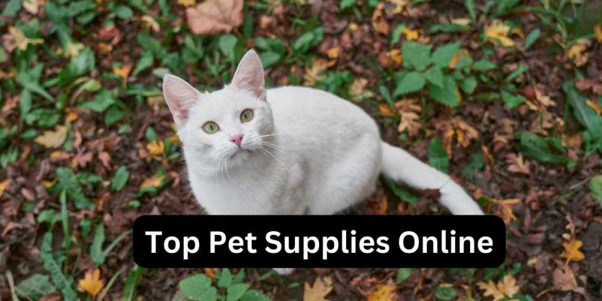 Top Pet Supplies Online: Your Guide to the Best Products for Your Furry Friends