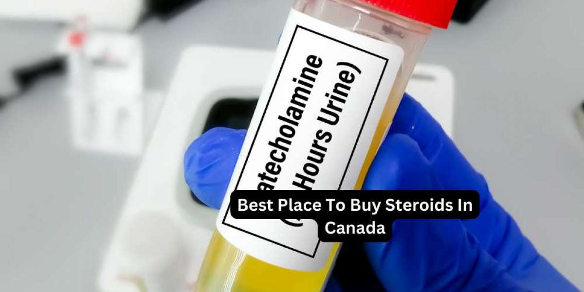 Best Place to Buy Steroids in Canada: A Comprehensive Guide