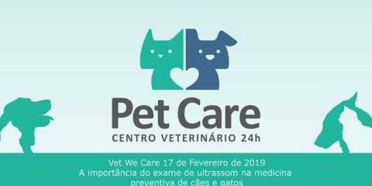 Coleta de exames em domicílio para pets: como funciona e por que é vantajoso