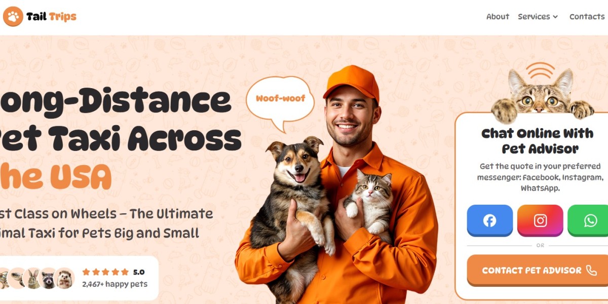 Premium Dog Taxi Service for Safe, Stress-Free Pet Travel