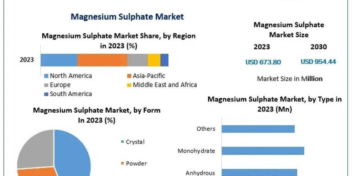 Magnesium Sulphate Market Size, Investment Opportunities, Supply Chain Insights, Forecast 2024-2030