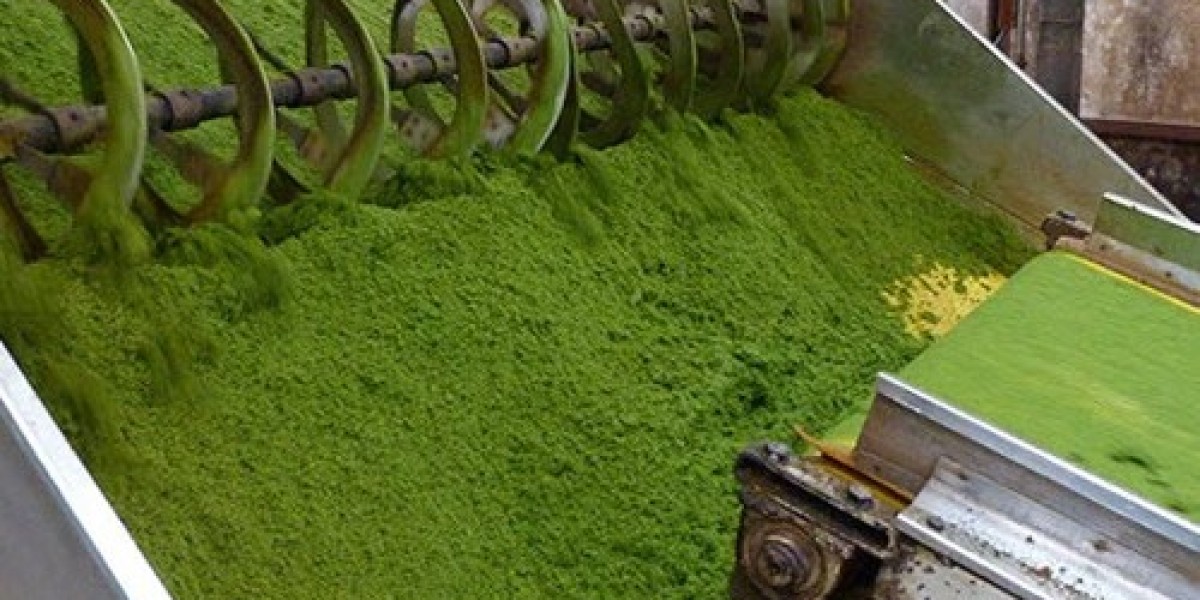 Understanding the Insights and Requirements to Setup Tea Processing Plant Project