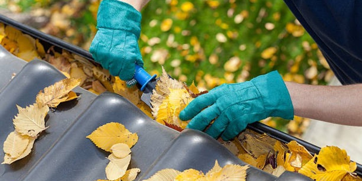 Protect Your Home from the Top Down: Gig Harbor Roof Cleaning You Can Trust