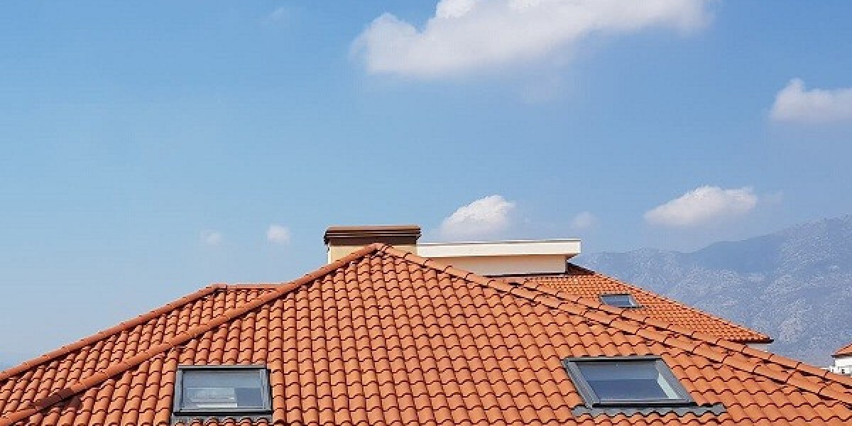 Teras çatı pencereleri