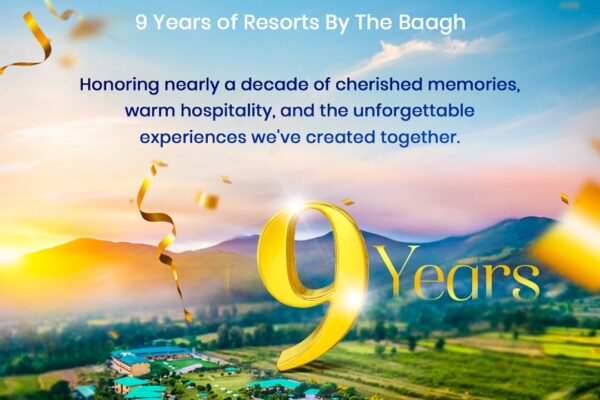 How to Find the Perfect Wedding Venue and Banquet Hall in Delhi with Venuelook - Deep Sleeep Article Network