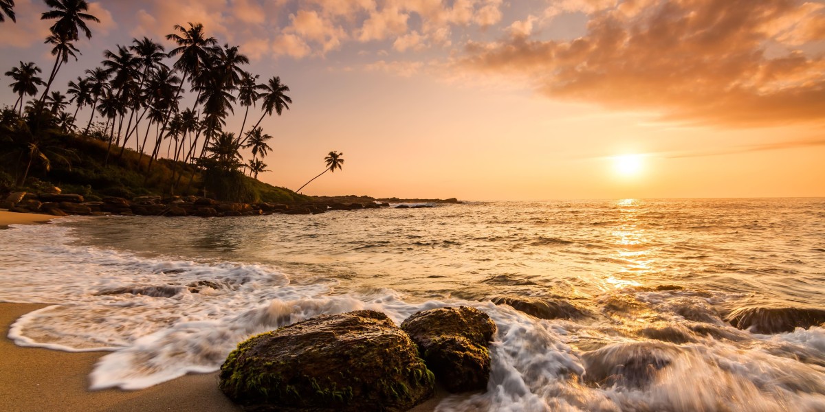 A Complete Guide to Sri Lanka Tours from Indian Cities