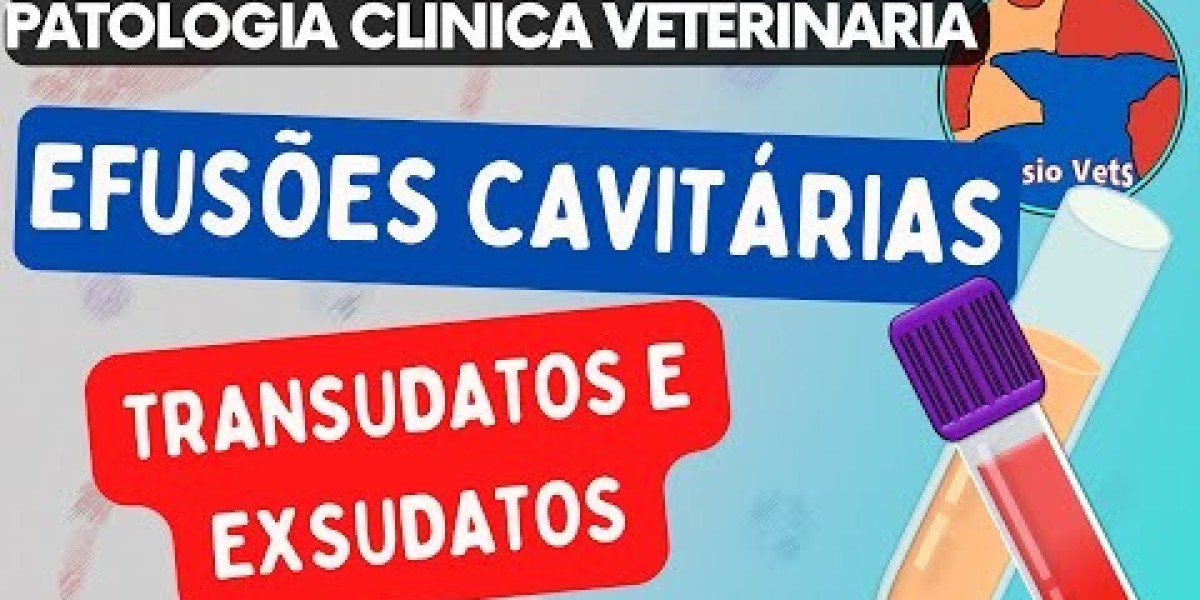 Potássio em Cachorros com Doença Renal: Dicas para Monitoramento Eficaz