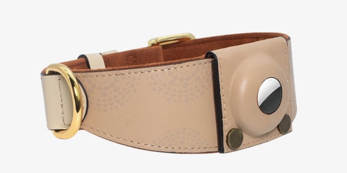 GPS Dog Collar Technology That Gives You Peace of Mind