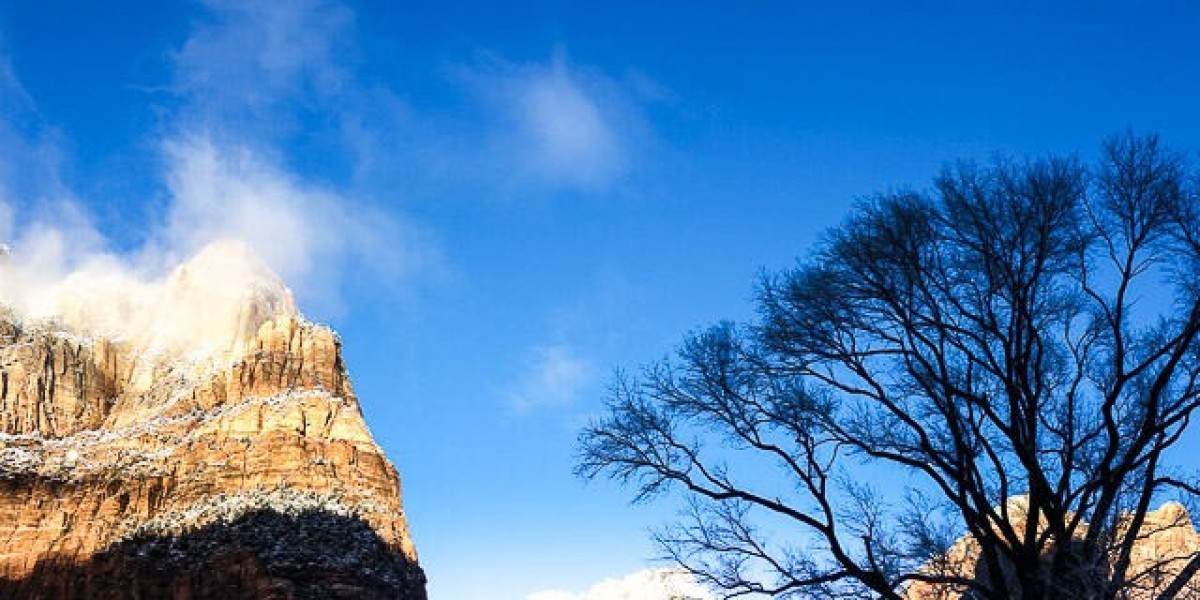 Why Zion National Park Is the Ultimate Destination for Tranquility and Awe-Inspiring Views