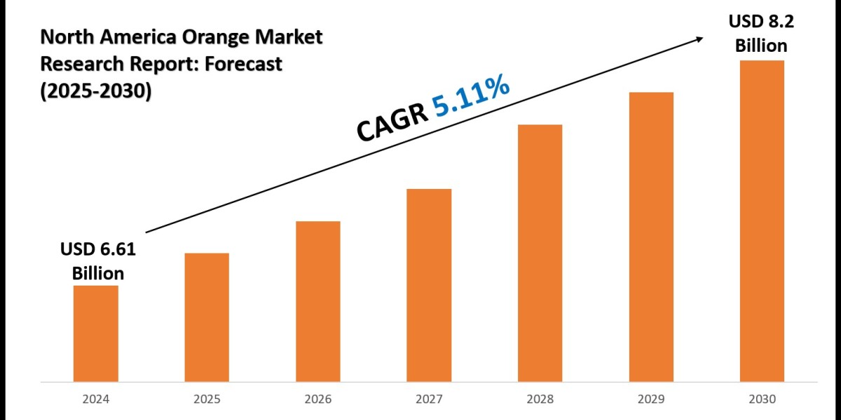 North America Orange Market Research by Distribution Channel