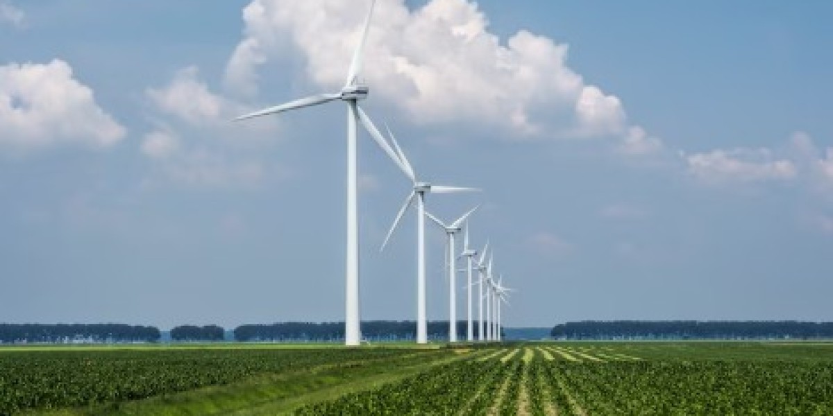 Mexico Wind Energy Market Growth, Share & Trends Forecast 2025-2033