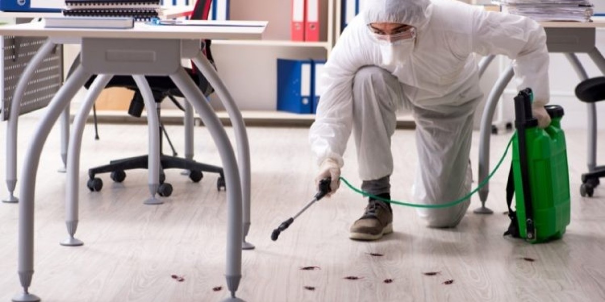 Pest Control Near Me: How to Find Reliable Local Pest Solutions
