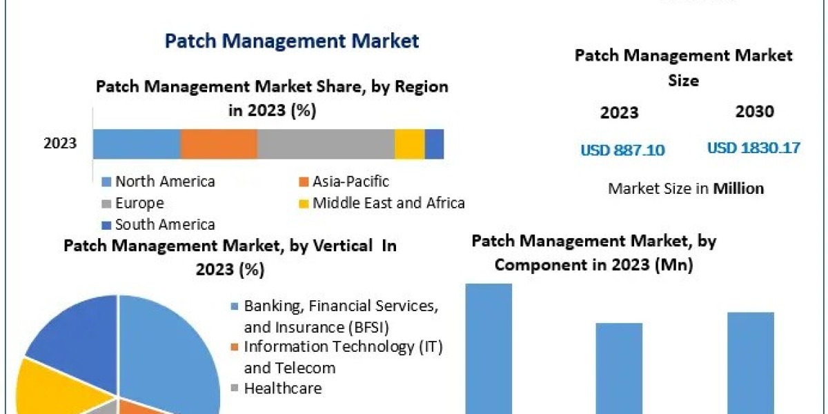 Patch Management Market Share, Industry Growth, Business Strategy, Trends and Regional Outlook 2029