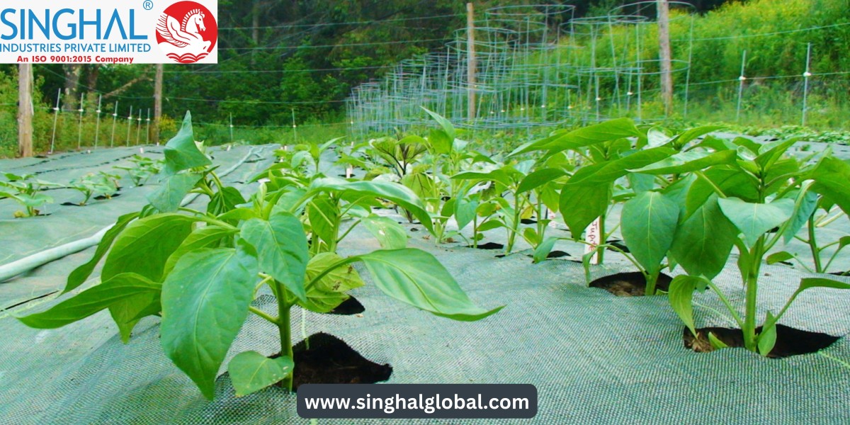 Weed Mats for Effective Weed Control in Landscaping