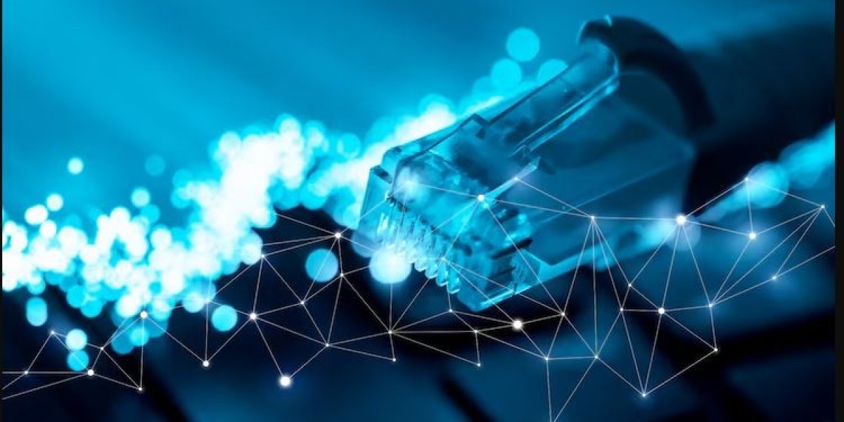 United States Network as a Service Market Size, Share, Growth & Forecast 2025-2033