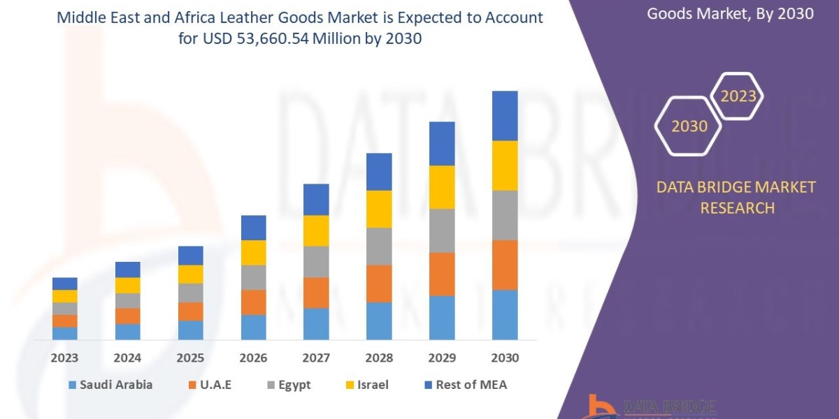 Middle East and Africa Leather Goods Market: Trends and Growth Opportunities