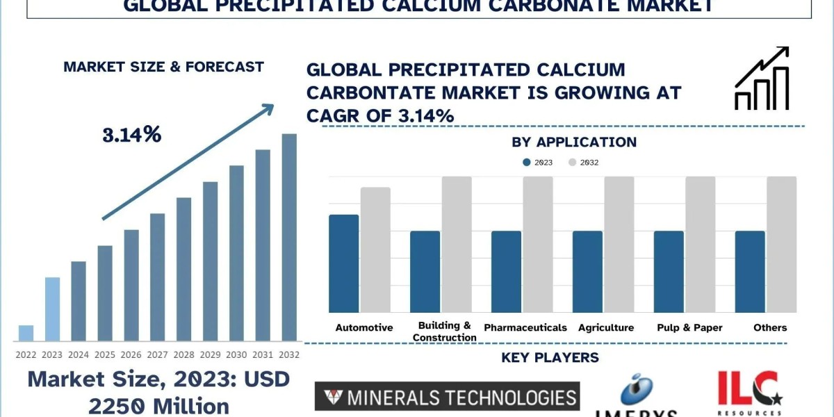 Precipitated Calcium Carbonate Market Analysis by Trends and Research Report (2024–2032) | UnivDatos