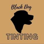 Black Dog Tinting and Paint Protection Film