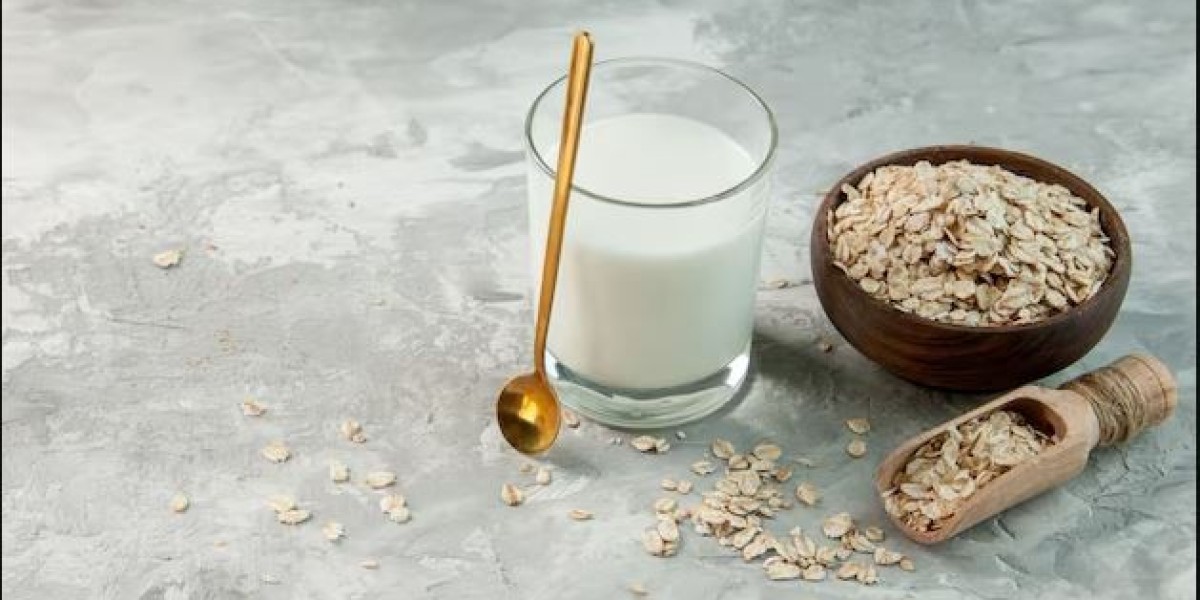 United States Oat Milk Market Size & Future Demand Forecast 2025–2033