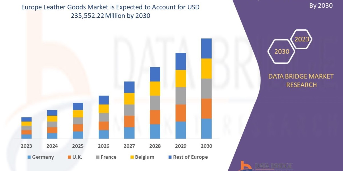 Europe Leather Goods Market Overview: Key Drivers and Challenges