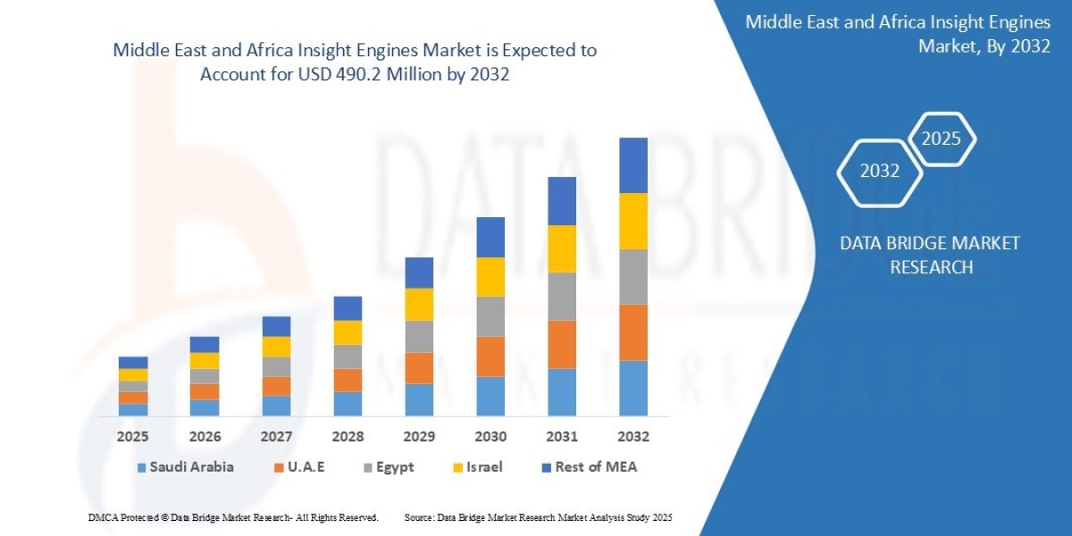 Middle East and Africa Insight Engines Market Size, Share, Trends, Demand, Growth and Competitive Outlook