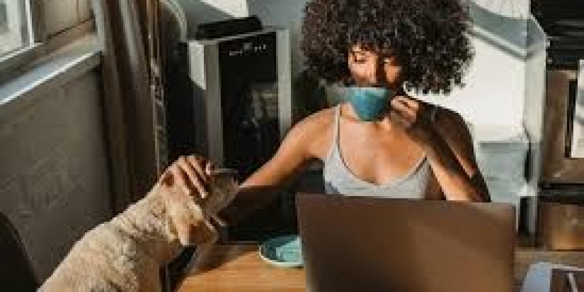 Templifica Success Stories: How Businesses Transformed Their Websites