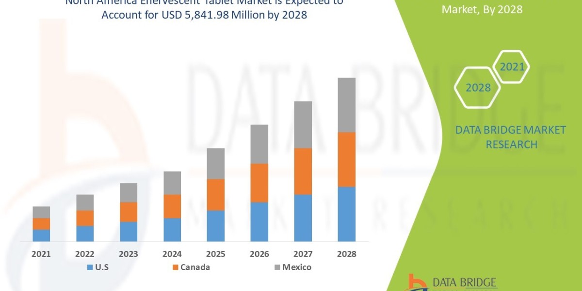 North America Effervescent Tablet Market Size, Share, Trends, Demand, Growth and Competitive Analysis
