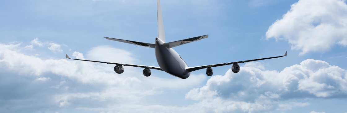 Aerofly ticket