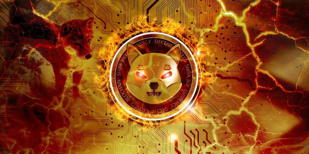 Shiba Inu Coin Prediction 2025 – Price Potential and Future Benefits for Investors