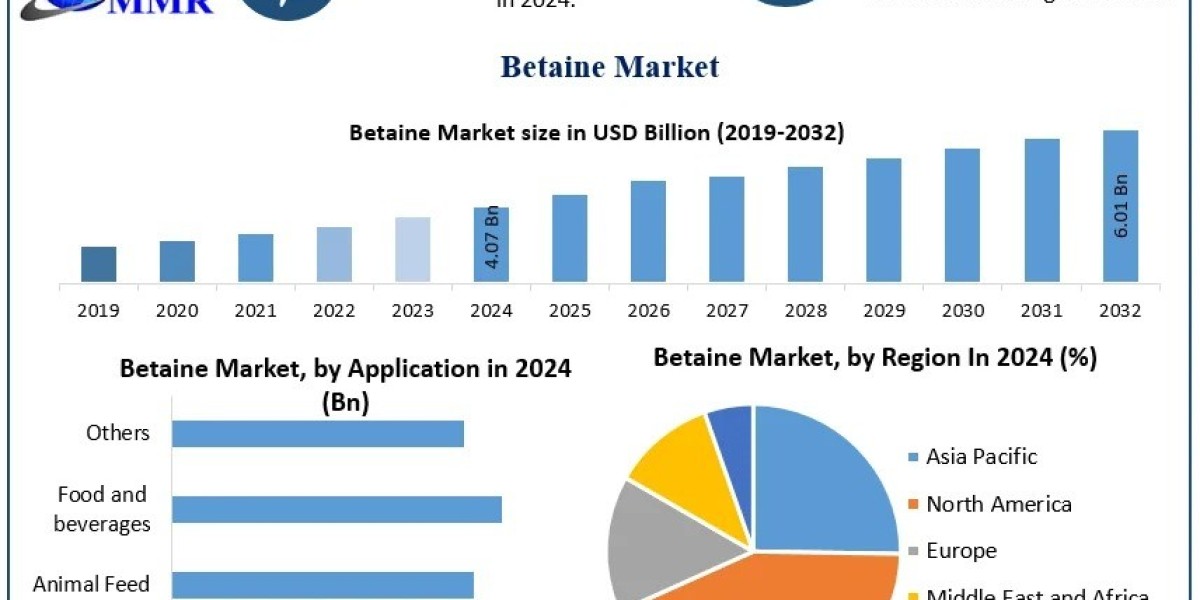Betaine Market Top Companies, Industry Overview and Forecast 2025-2032