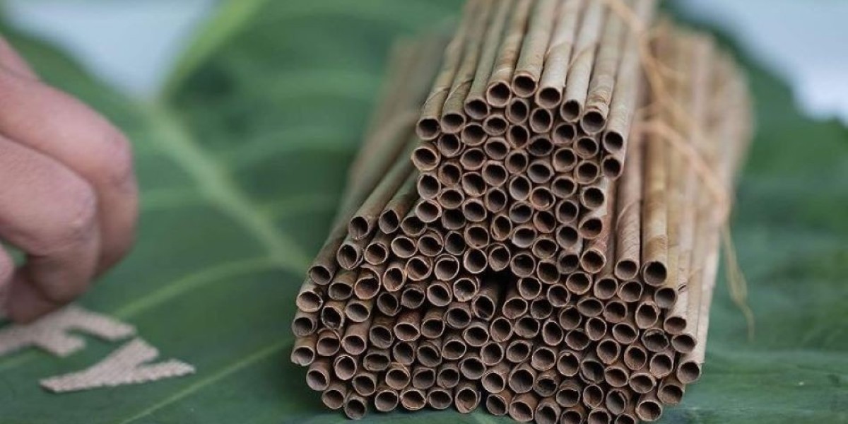 Business Plan to Setup a Dry Coconut Leaves Based Biodegradable Straw Manufacturing Plant: Project Report 2025